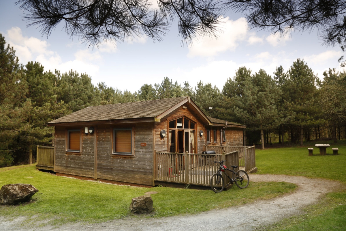 rosliston forestry centre holiday lodges to rent derbyshire christmas lodges 2019