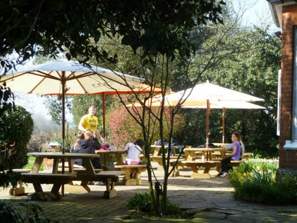 Cardfields - relax on the patio