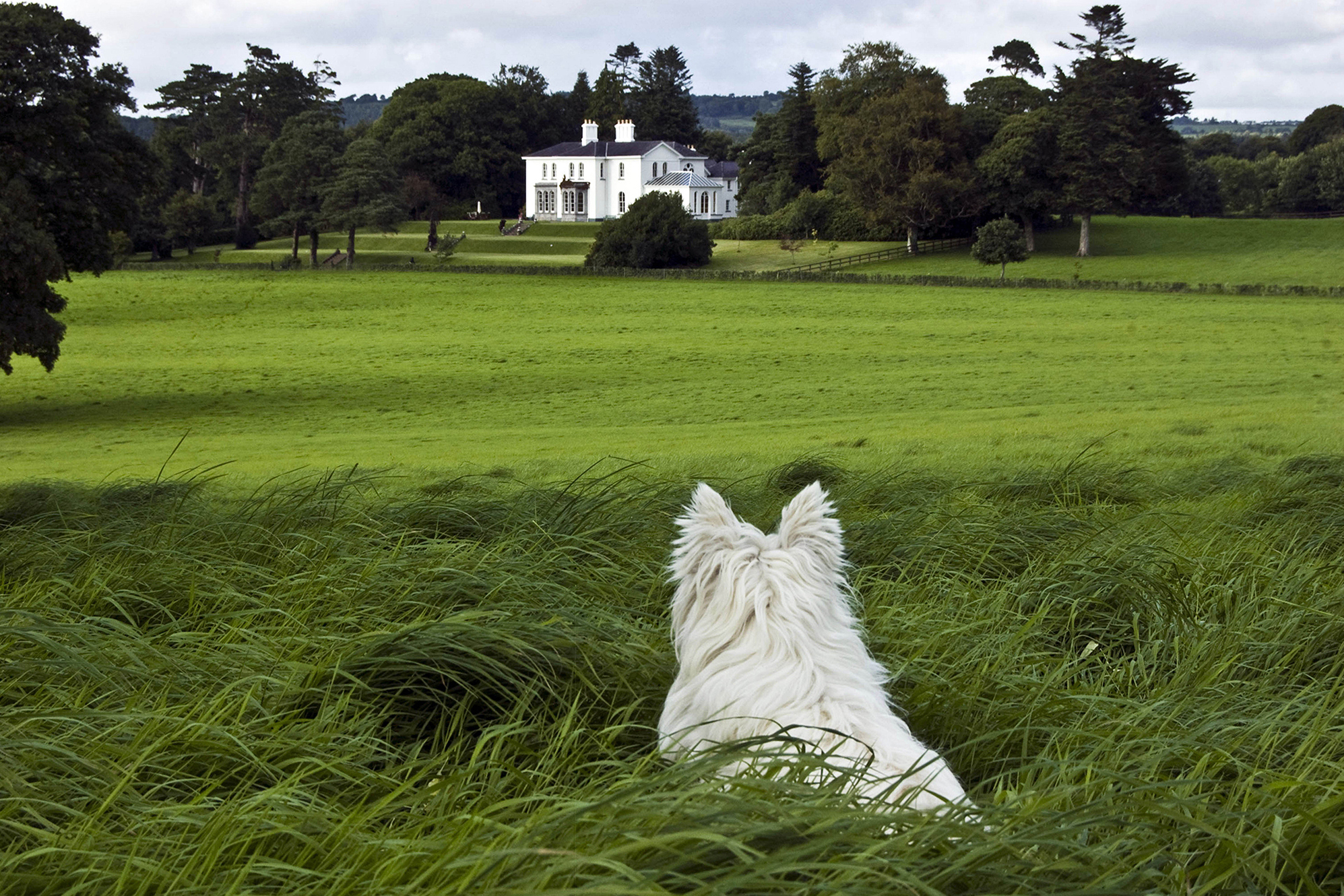 Coolclogher House - dog friendly with lots of space to run around