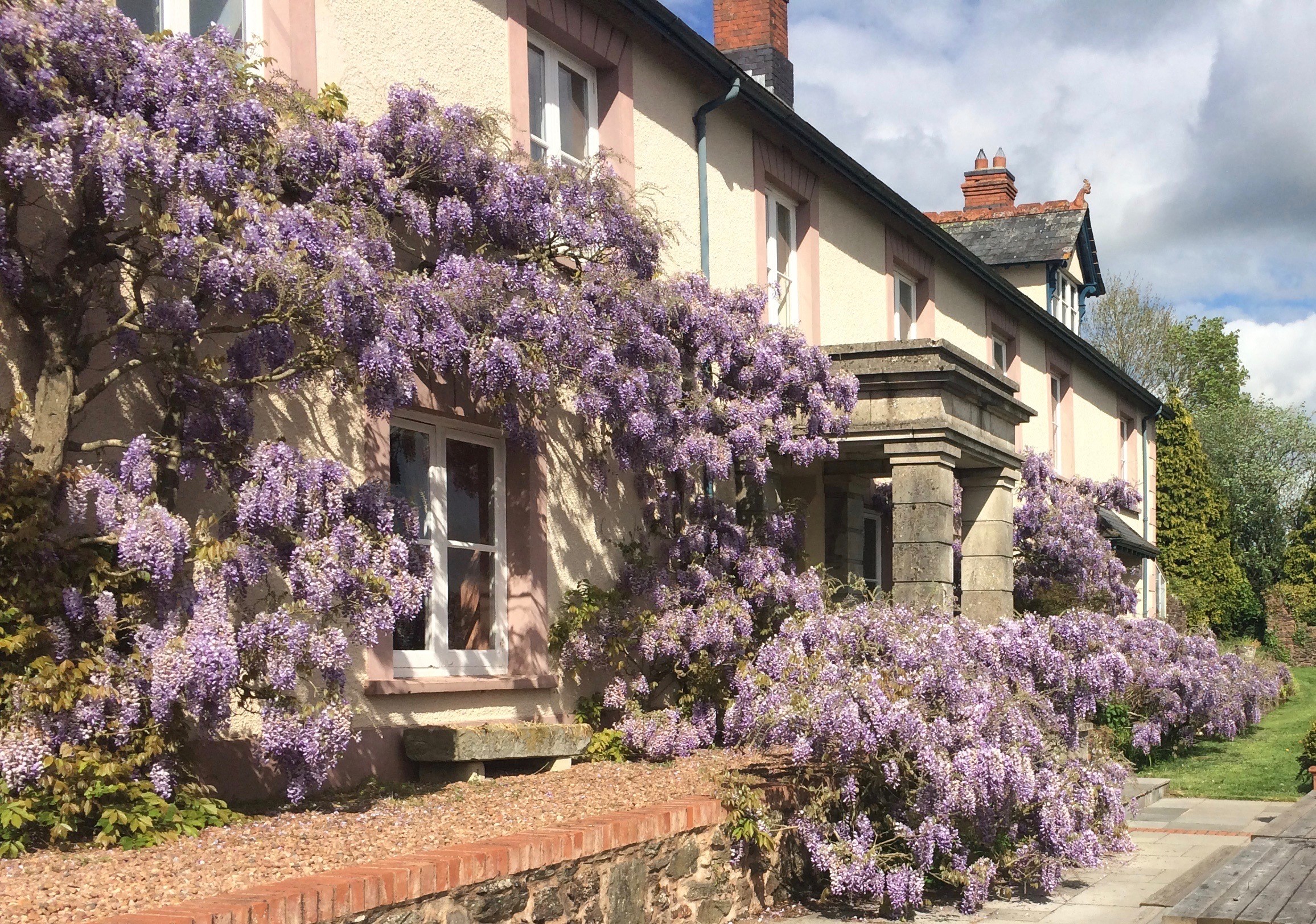 Hurstone House - covered in wisteria in the summer