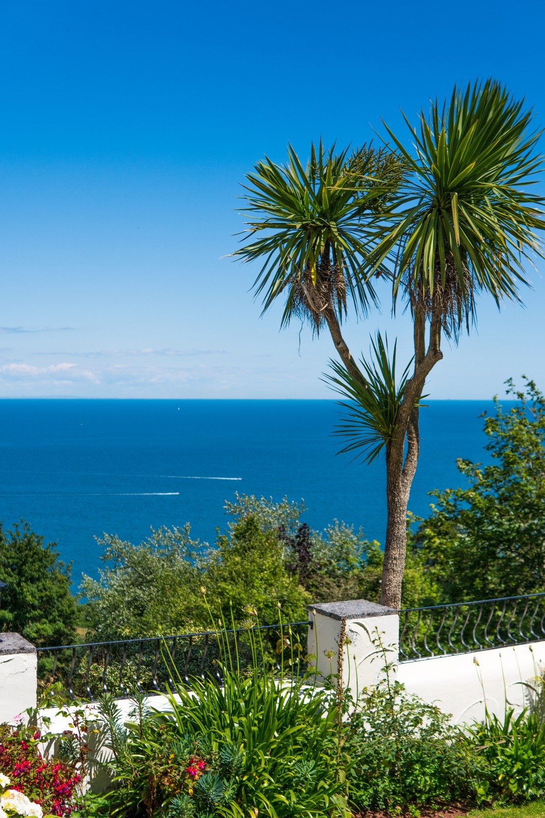 Cliff Lodge - beautiful English Riviera coastal position