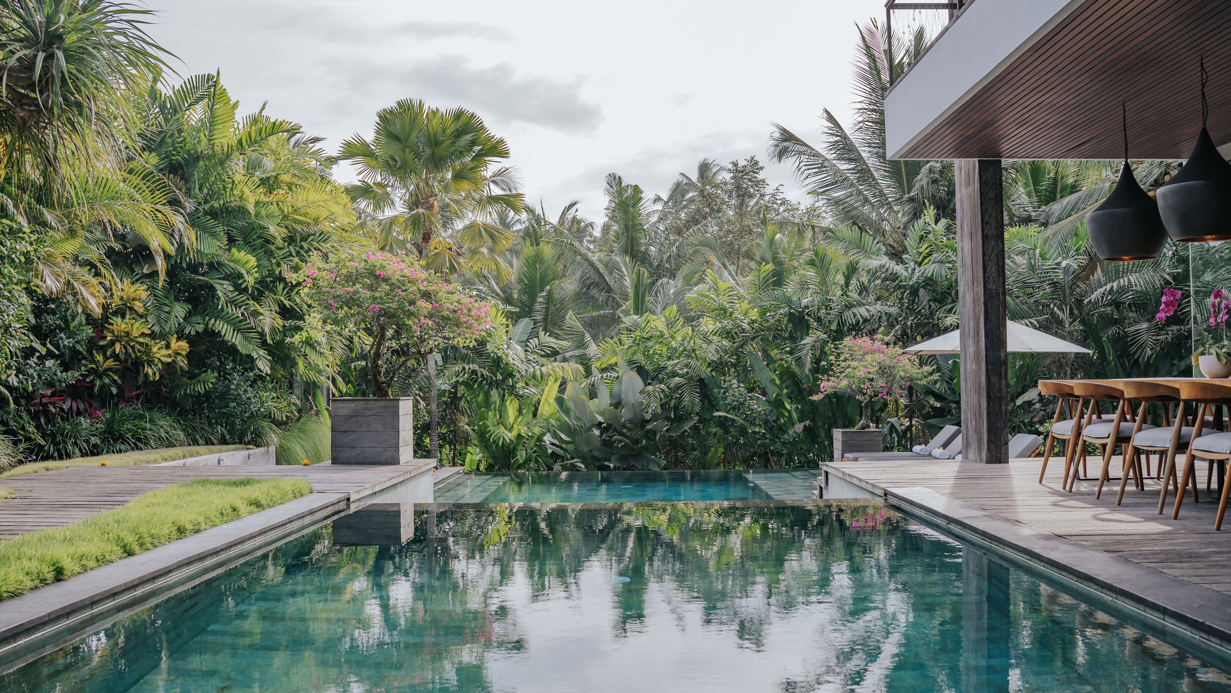 Dwa Chandra - 1 of 2 infinity pools in a fantastic jungle setting