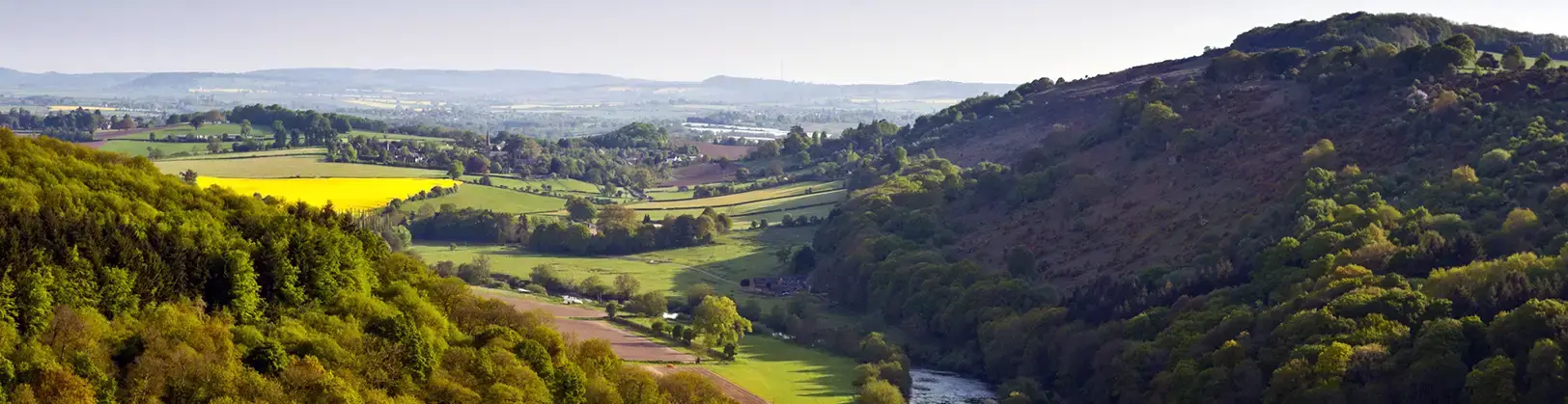 Forest of Dean