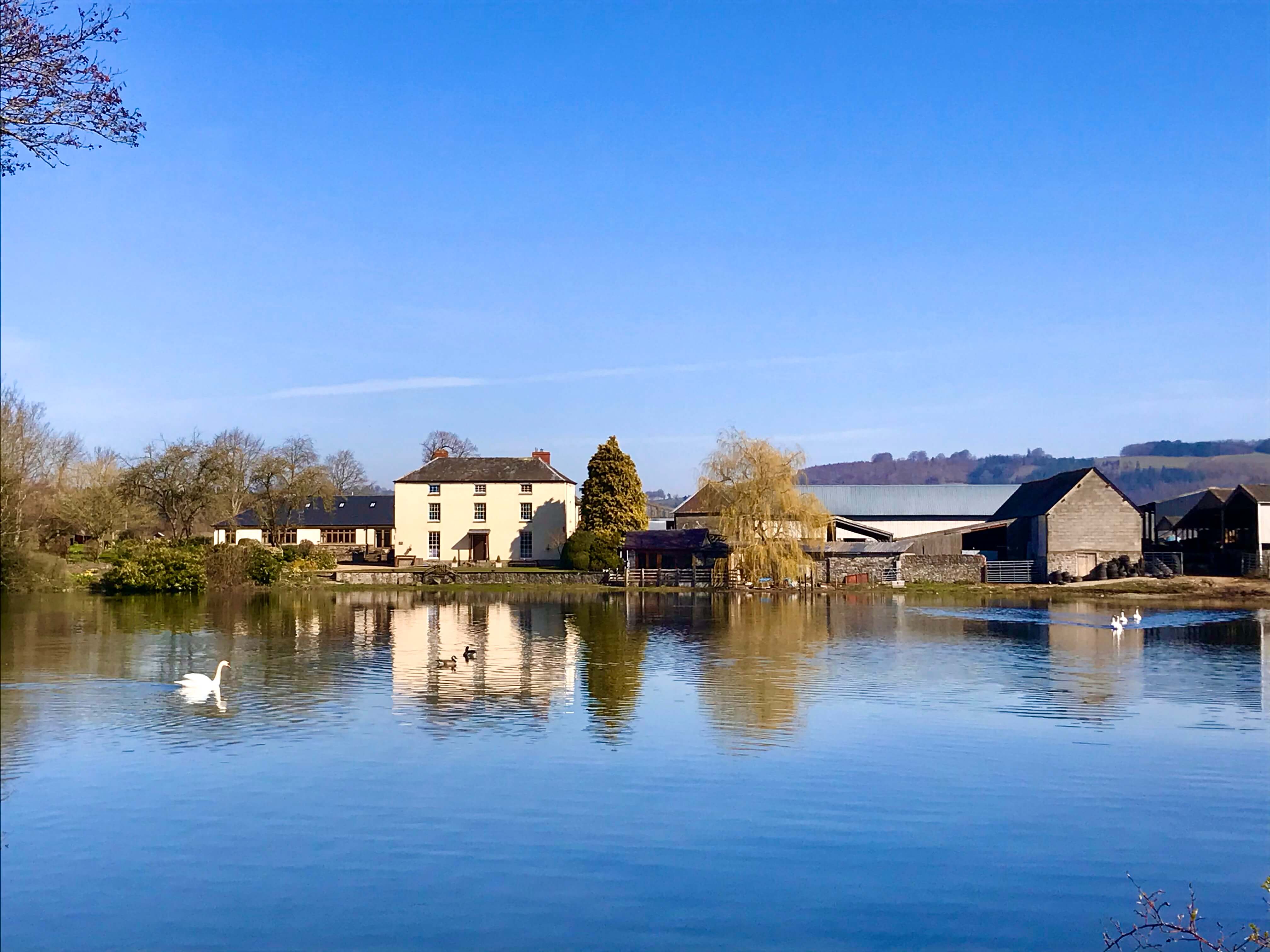 Hindwell Farmhouse - idyllic lakeside setting with swans
