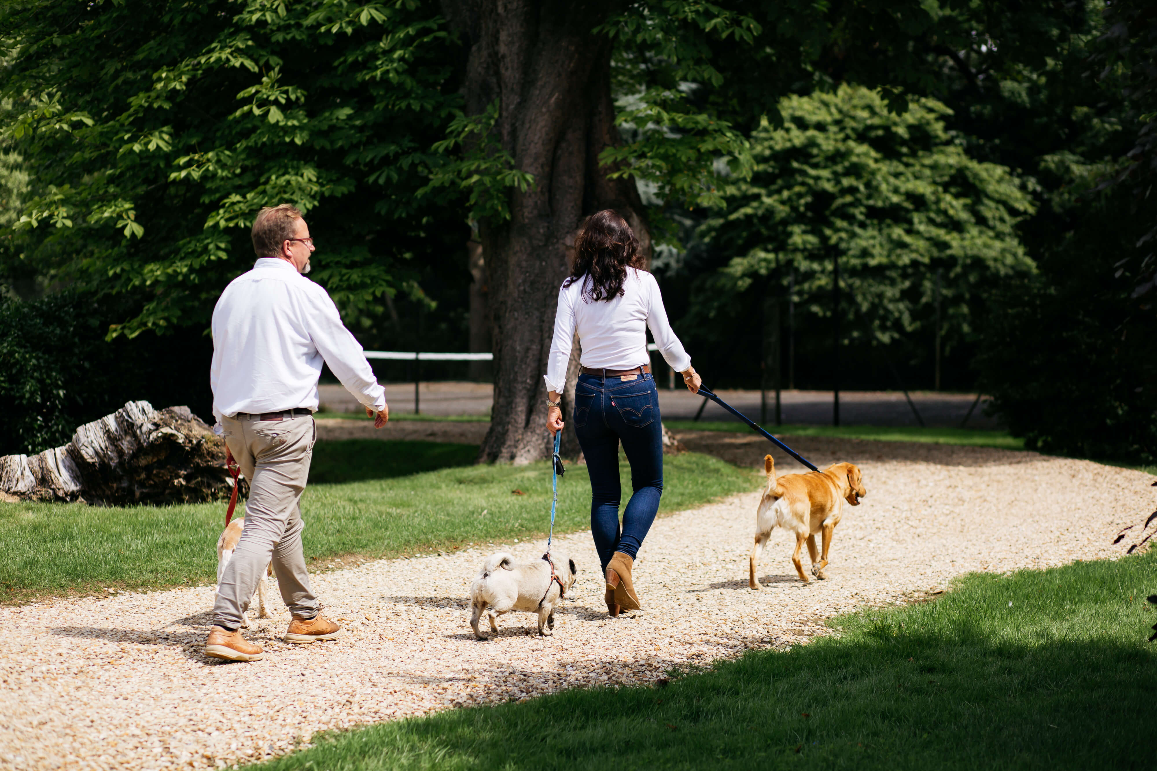 Fletland Holiday Hamlet - dogs are welcome