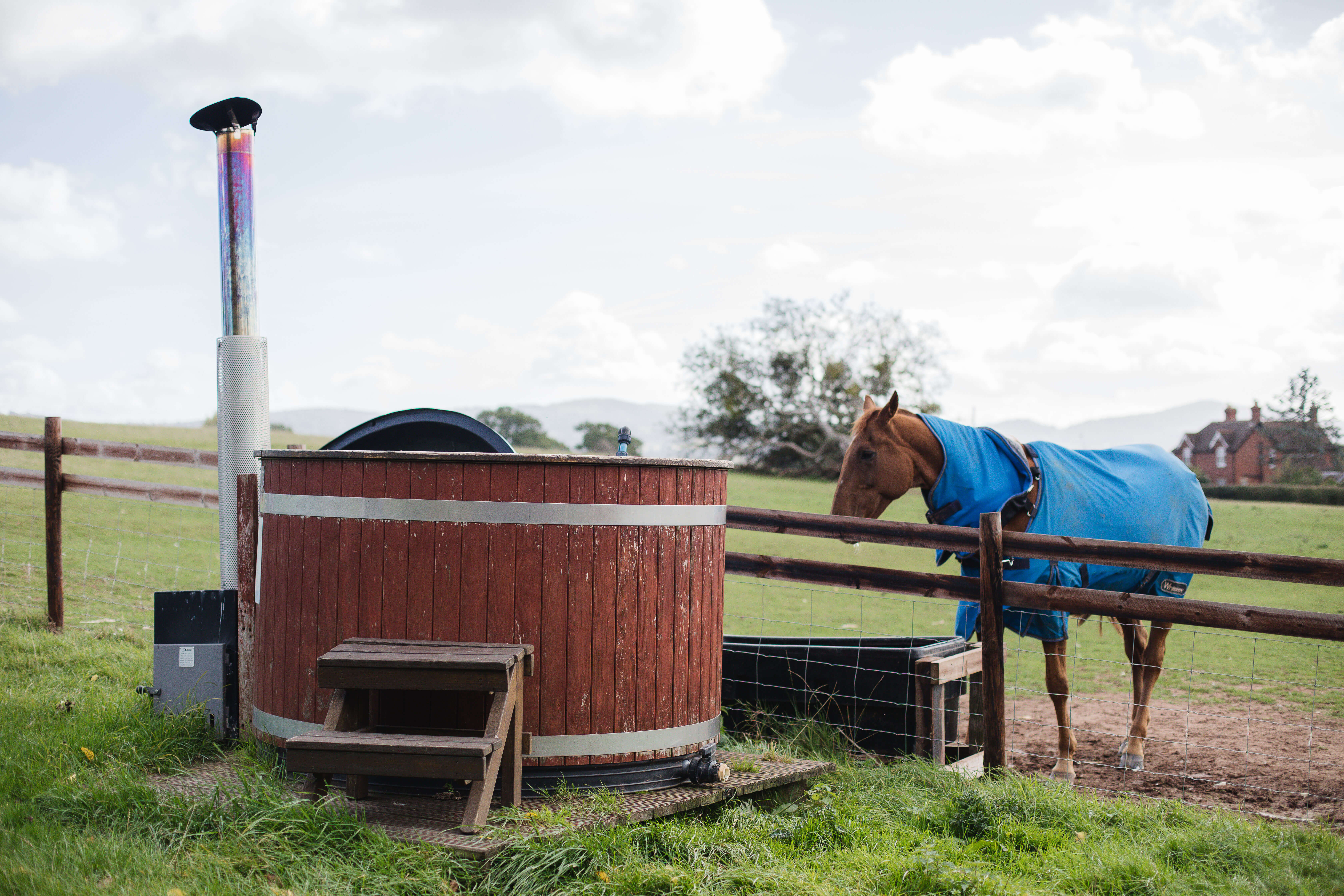 Hollings Hill - horse and hot tub bubbles