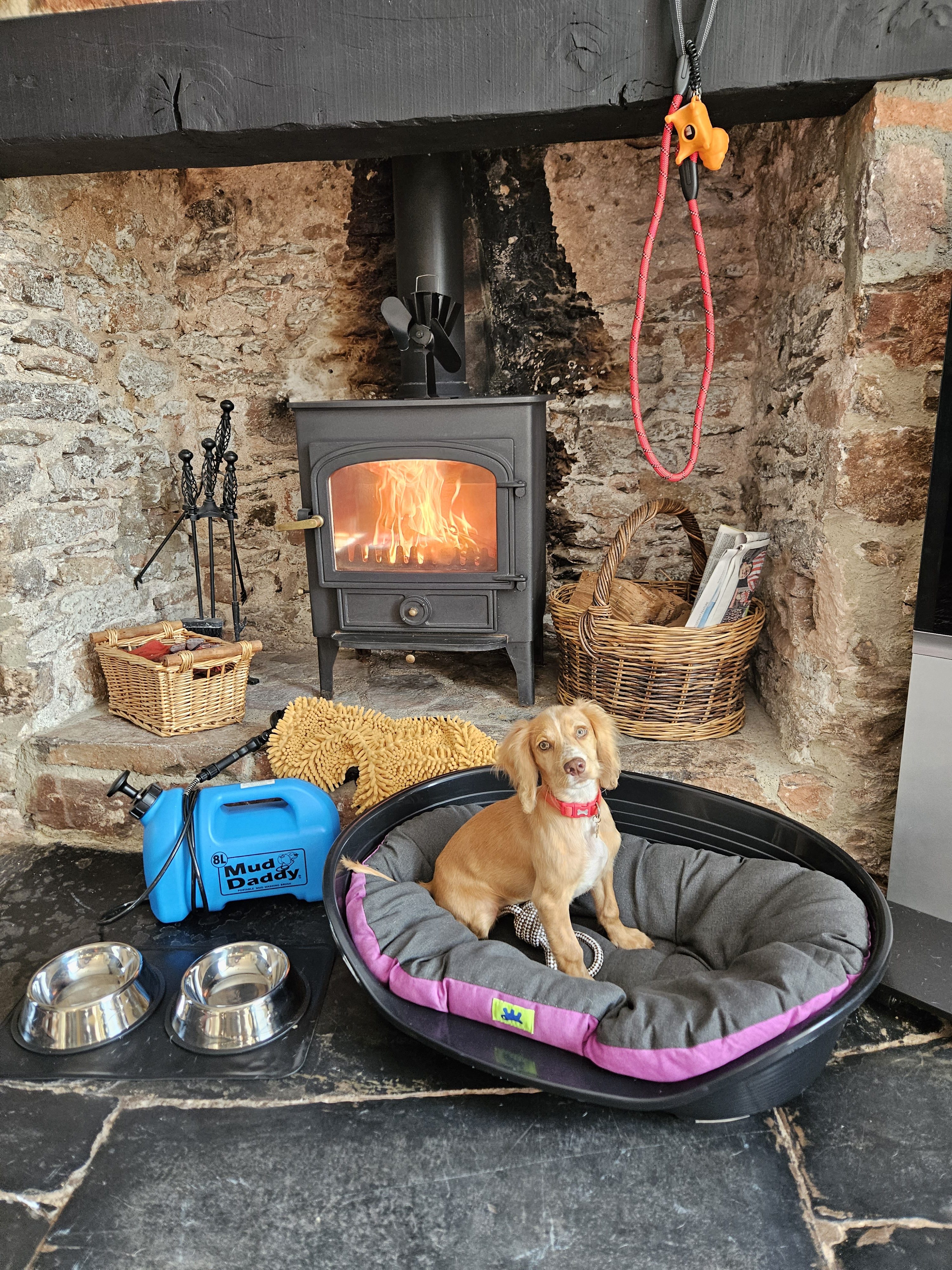 Compton Pool - wood burning stove in the dog friendly farmhouse