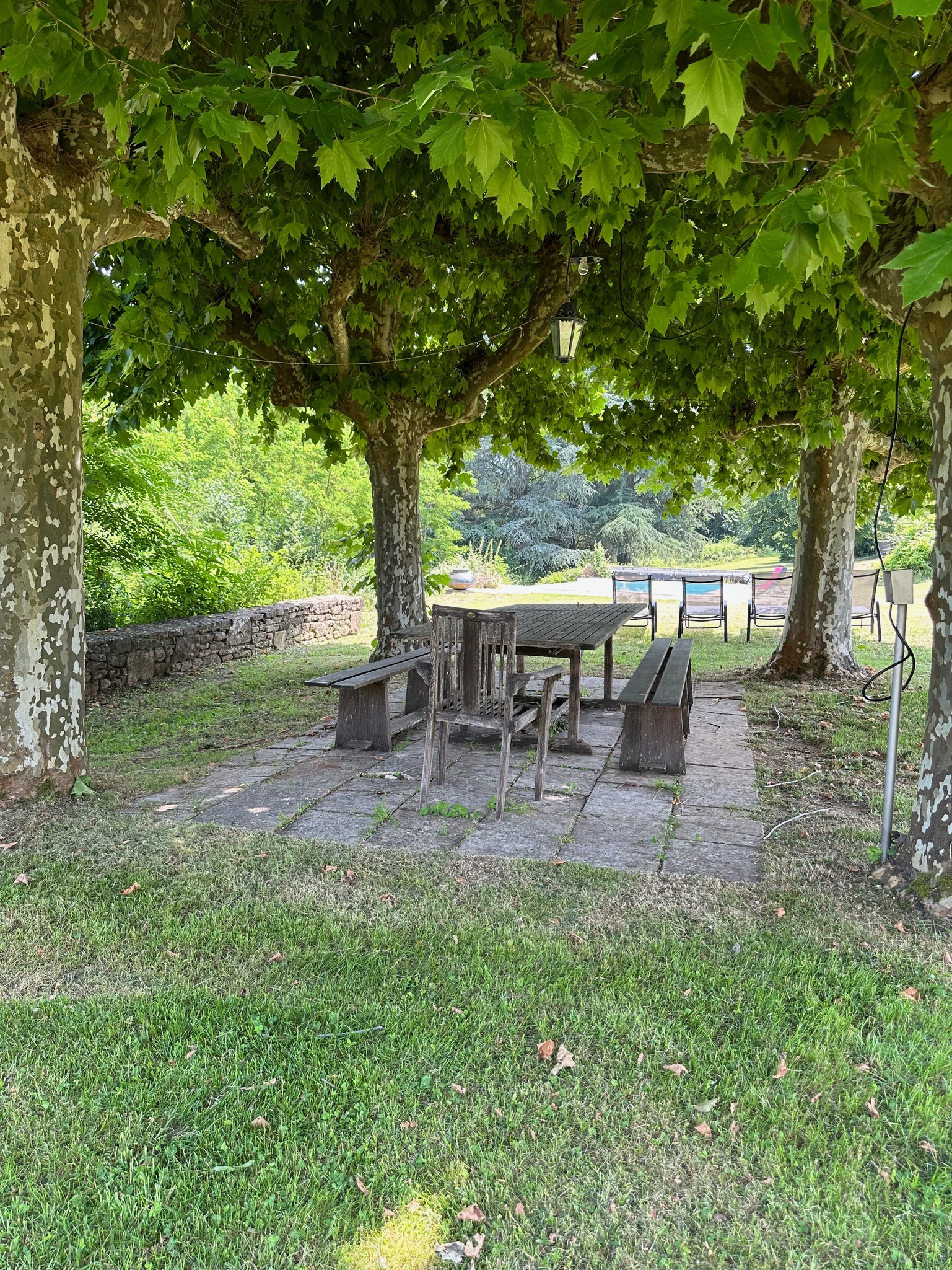 Le Pigeonnier du Bordial - charming terrace under the plane trees