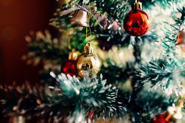 Christmas Holiday Houses