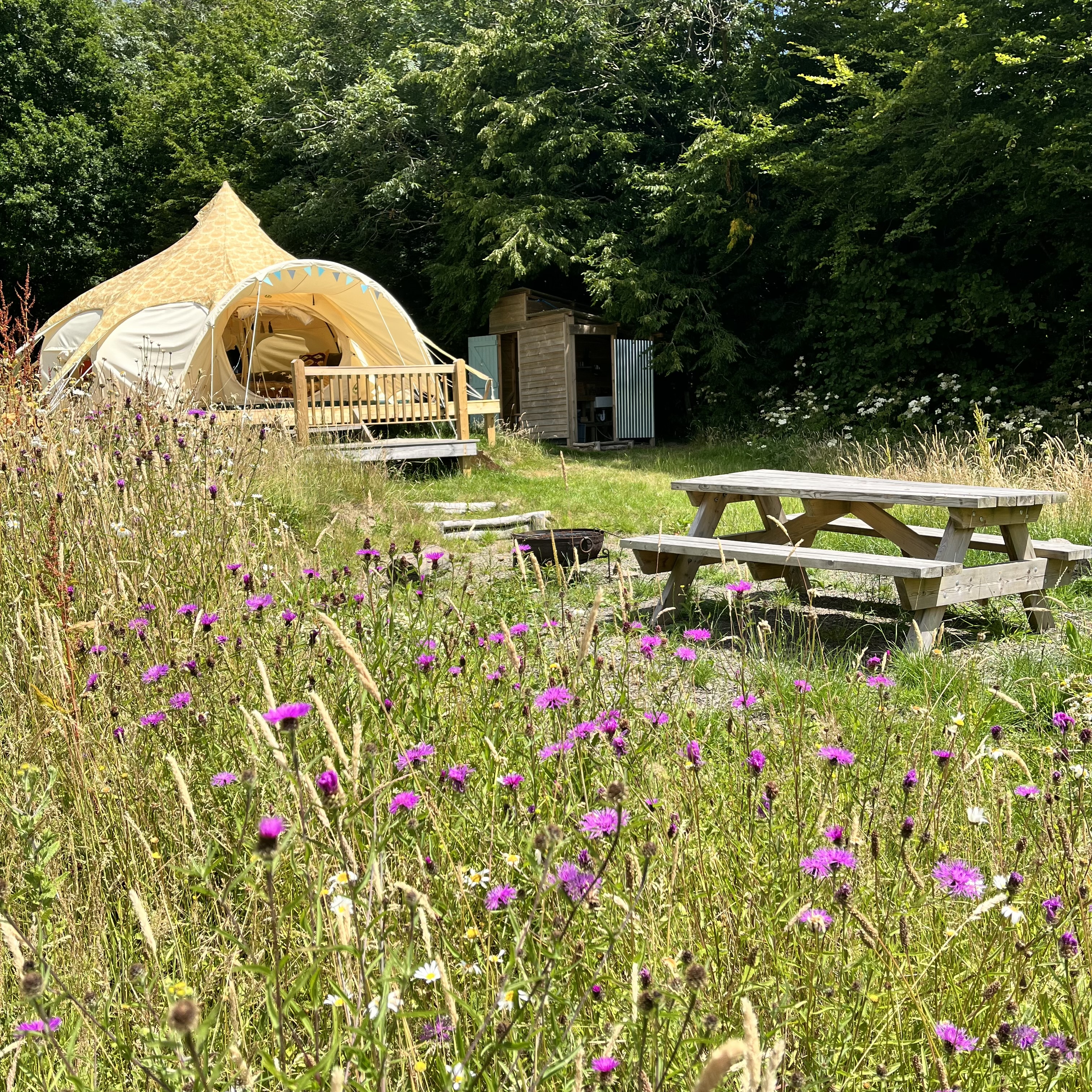 Star Field Glamping - hidden jewel inside 6 acres