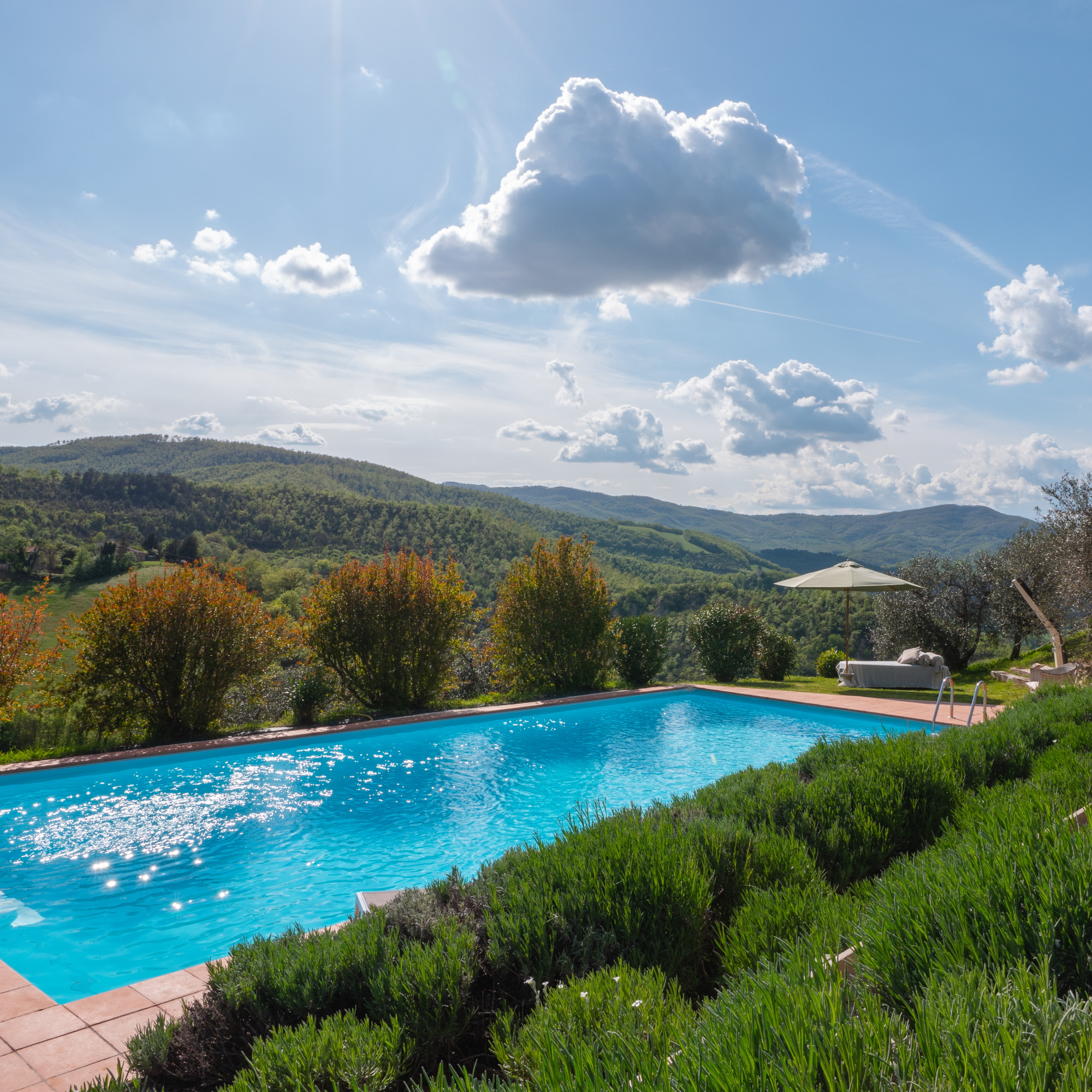 Casale Degli Olivi - private salt water pool