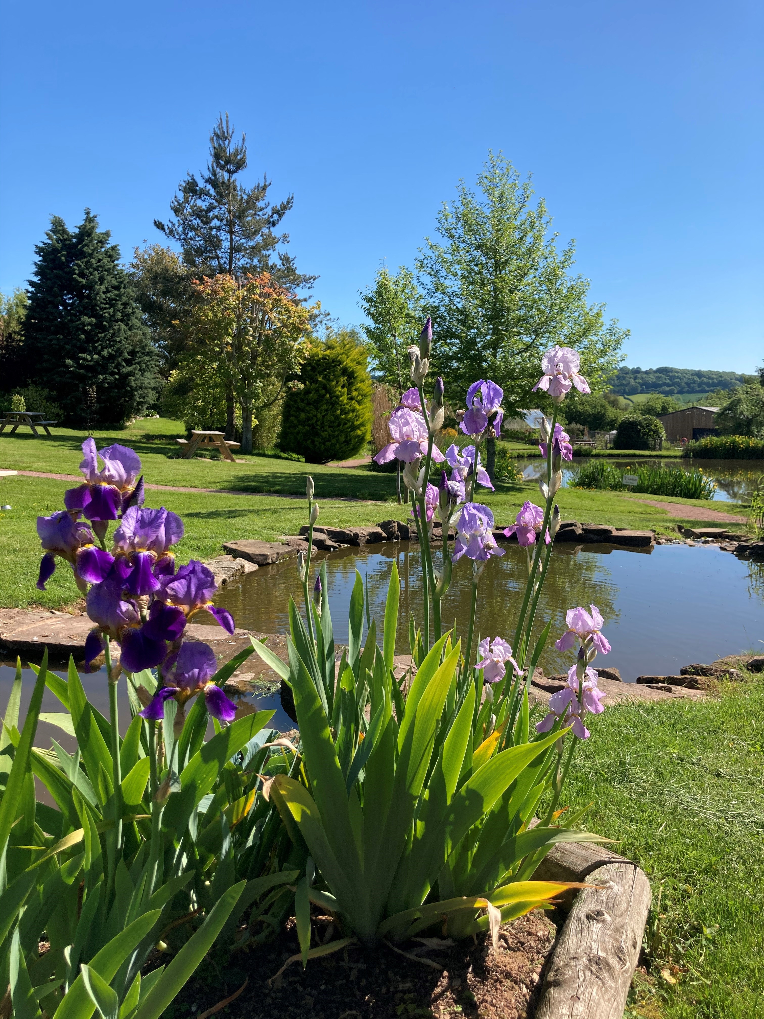 Pitlands Farm Holidays - tranquil corners to sit and enjoy