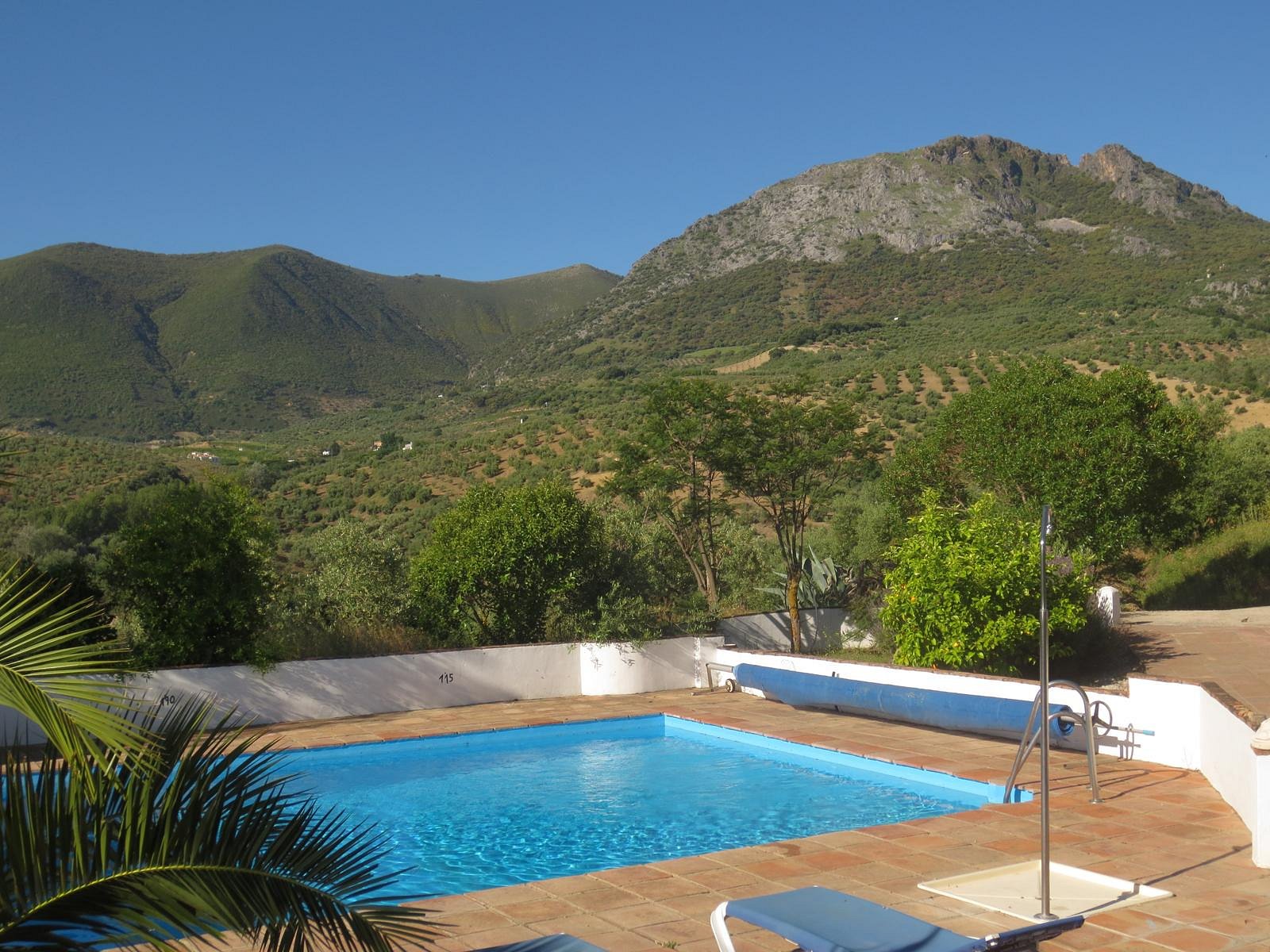 Cortijo Rosario - welcoming outdoor pool