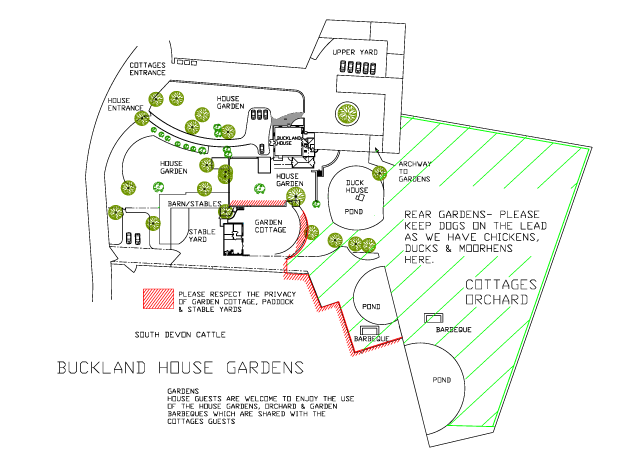 Buckland Court plan