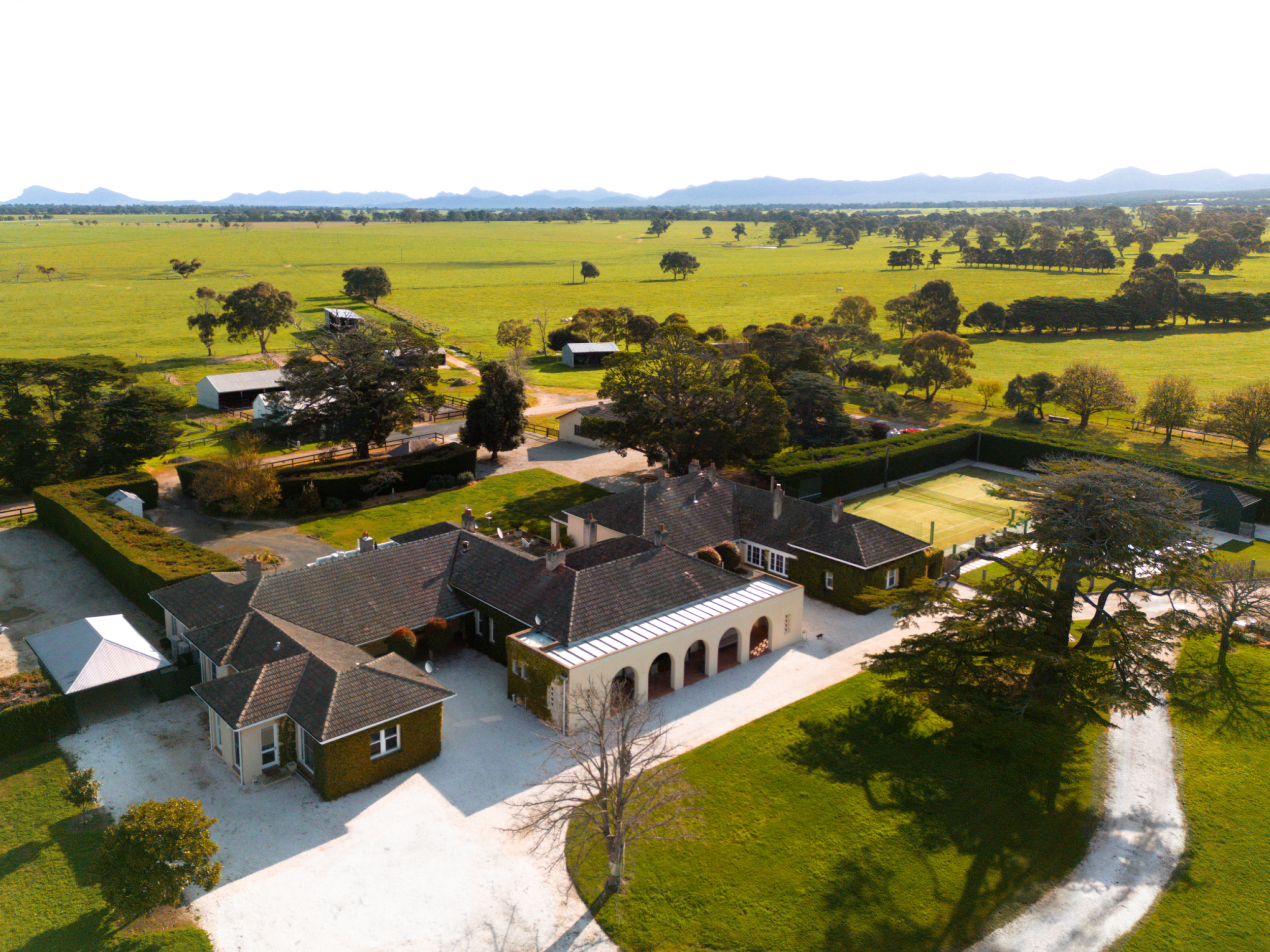 Mount William Homestead - from above