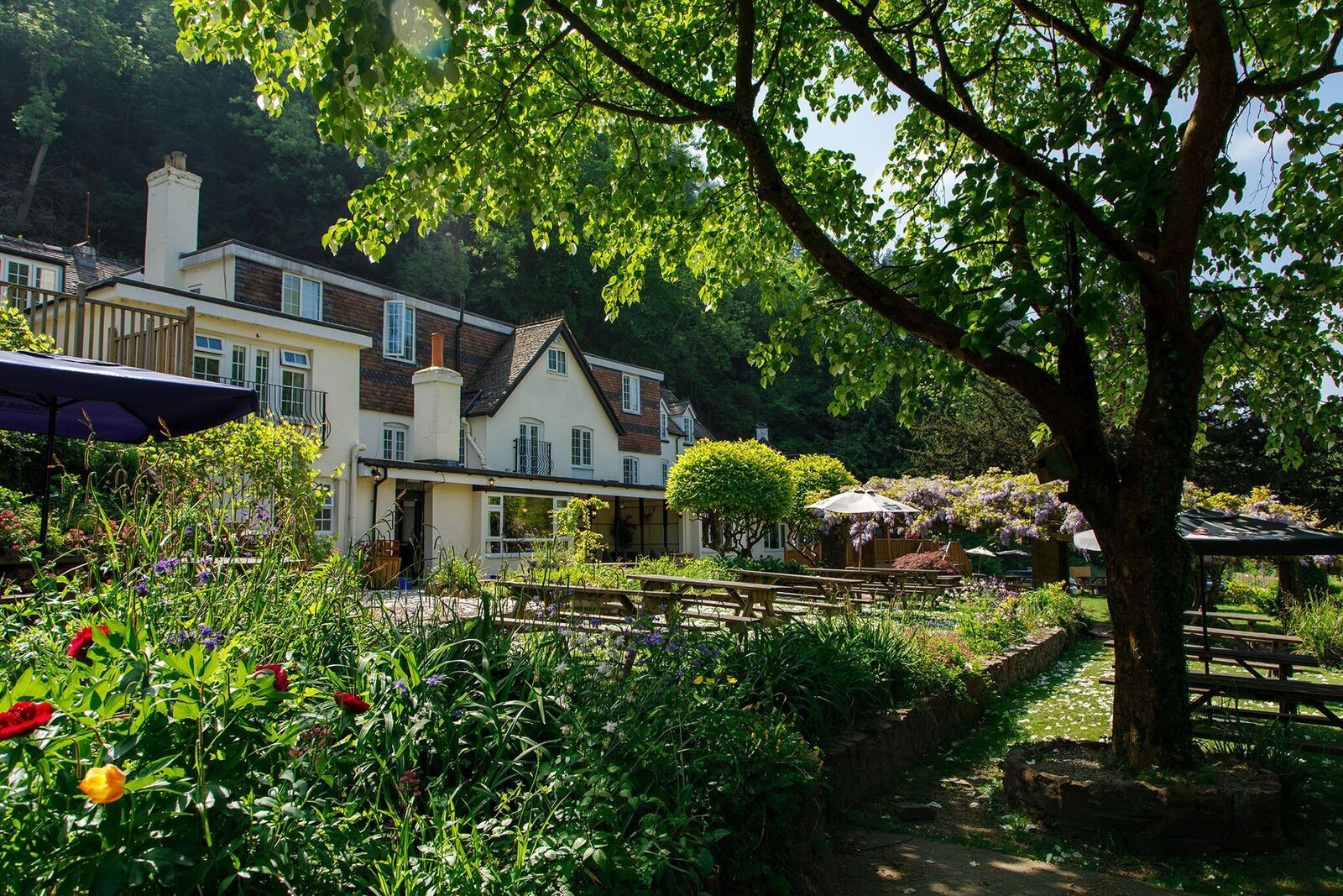 Symonds Yat Lodge - pretty grounds and gardens to sit and enjoy a drink