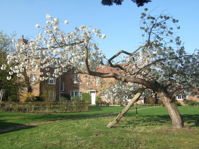 Lovely gardens