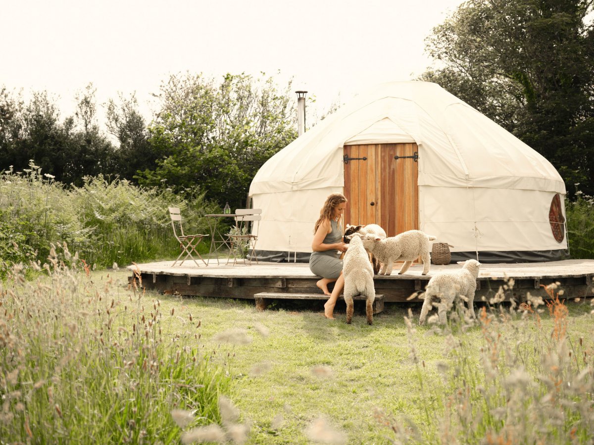 Tremeer - yurt outside deck