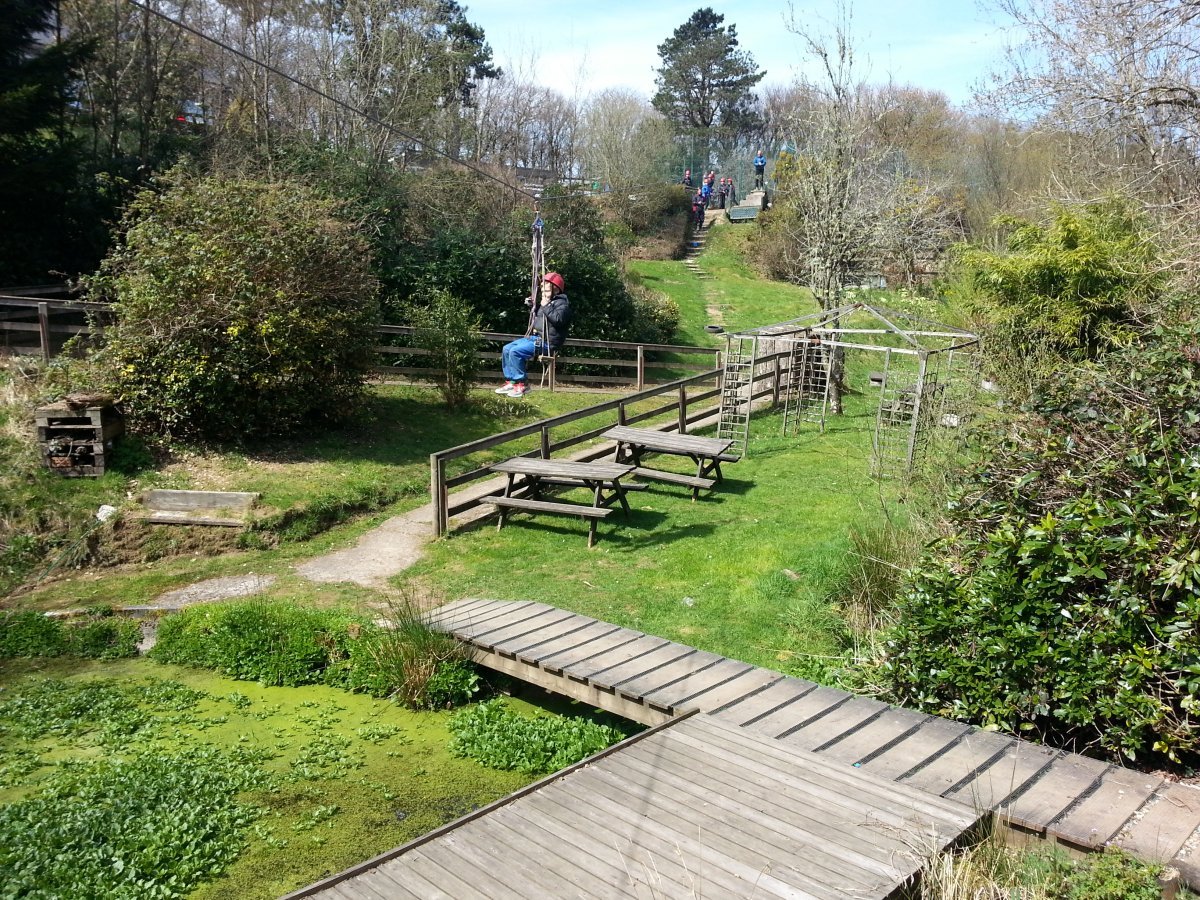 Part of our grounds - with the zip wire in action