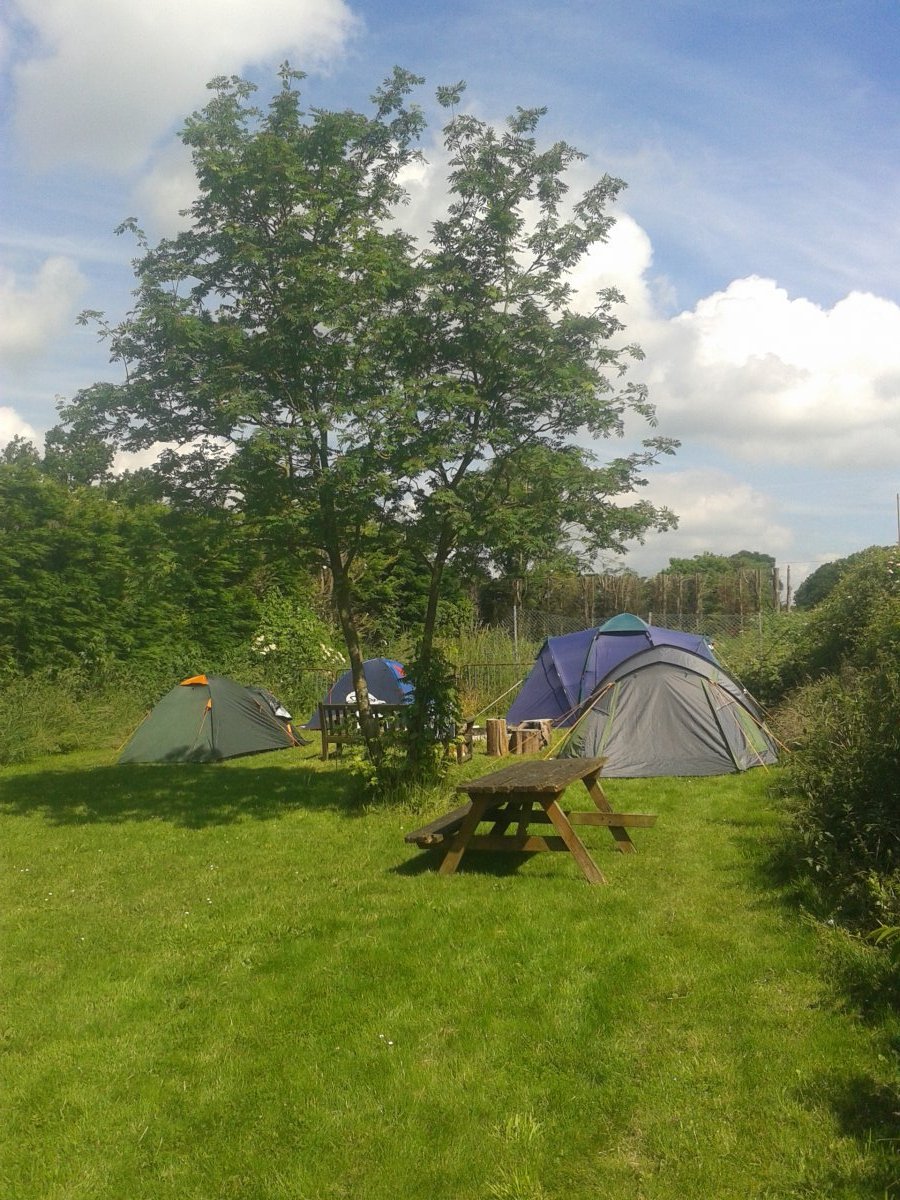 Grassed area with camp fire and overflow camping area