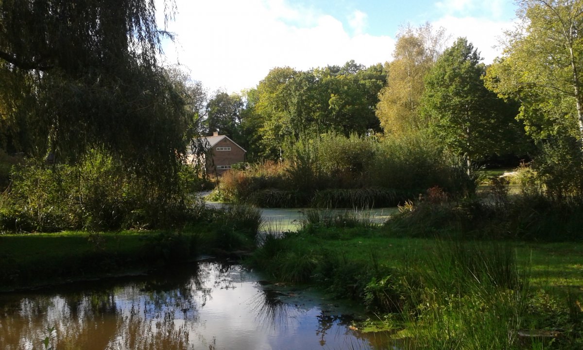 The Mill grounds with the main building in the background