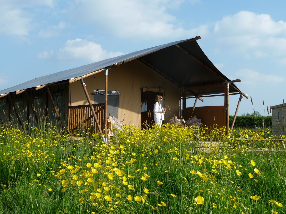 Tall Trees Glamping near Glastonbury