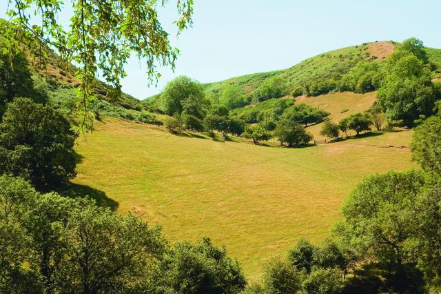 View towards Cwm Dale