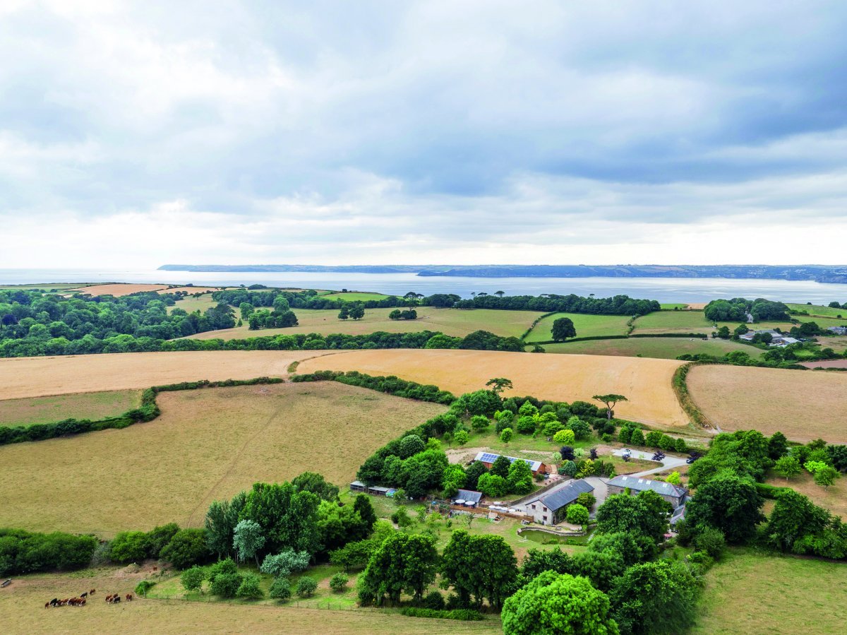 Landscape surrounding Cider Barn