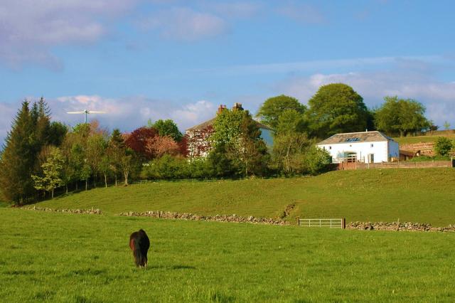 Stone horseshoe, wildflower meadow roof