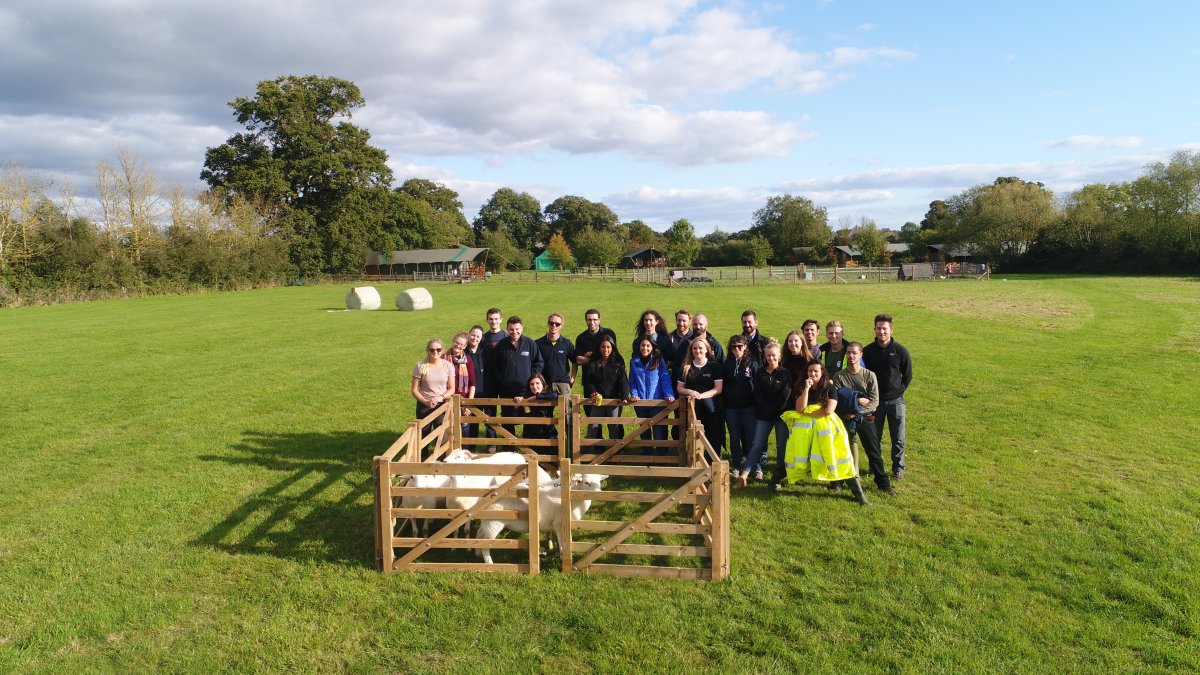 Sheep Herding challenge