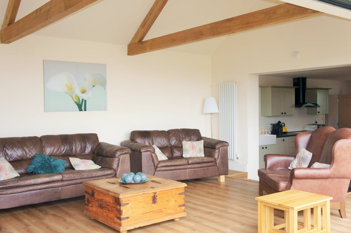 The spacious living room