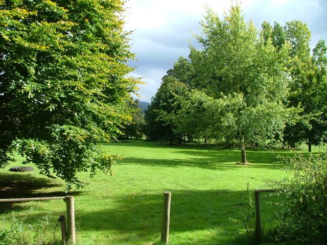 In the grounds
