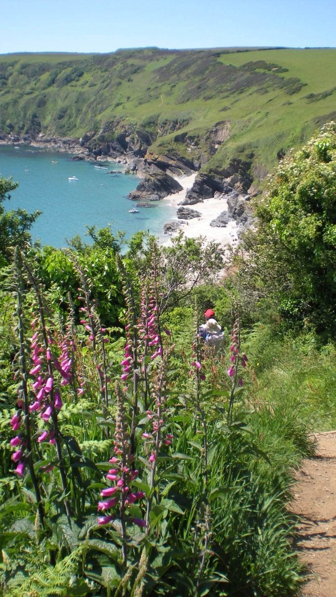 Tremeer - Lantic Bay our closest hidden beach just a mile away