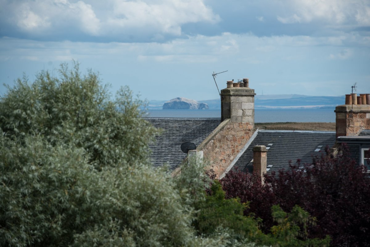 View from the living room