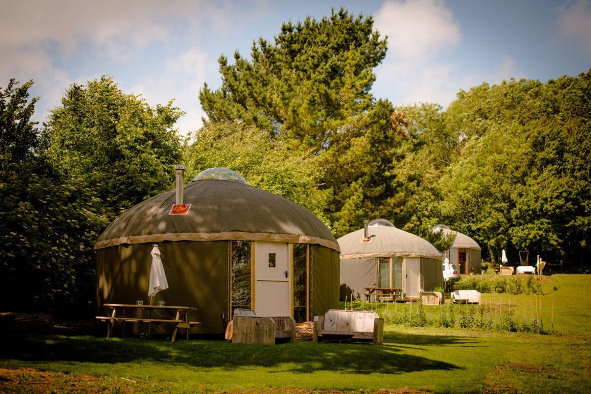 The yurt field