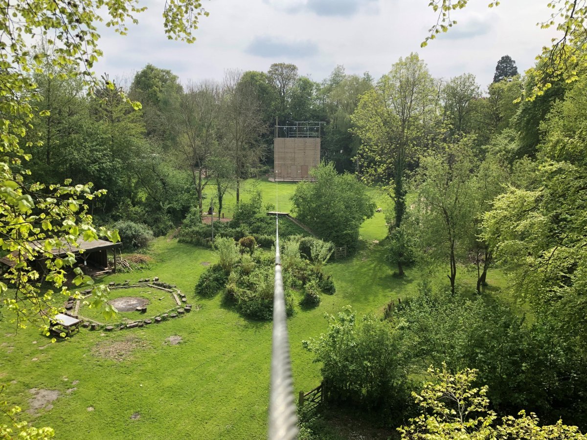 A great view along the zipwire