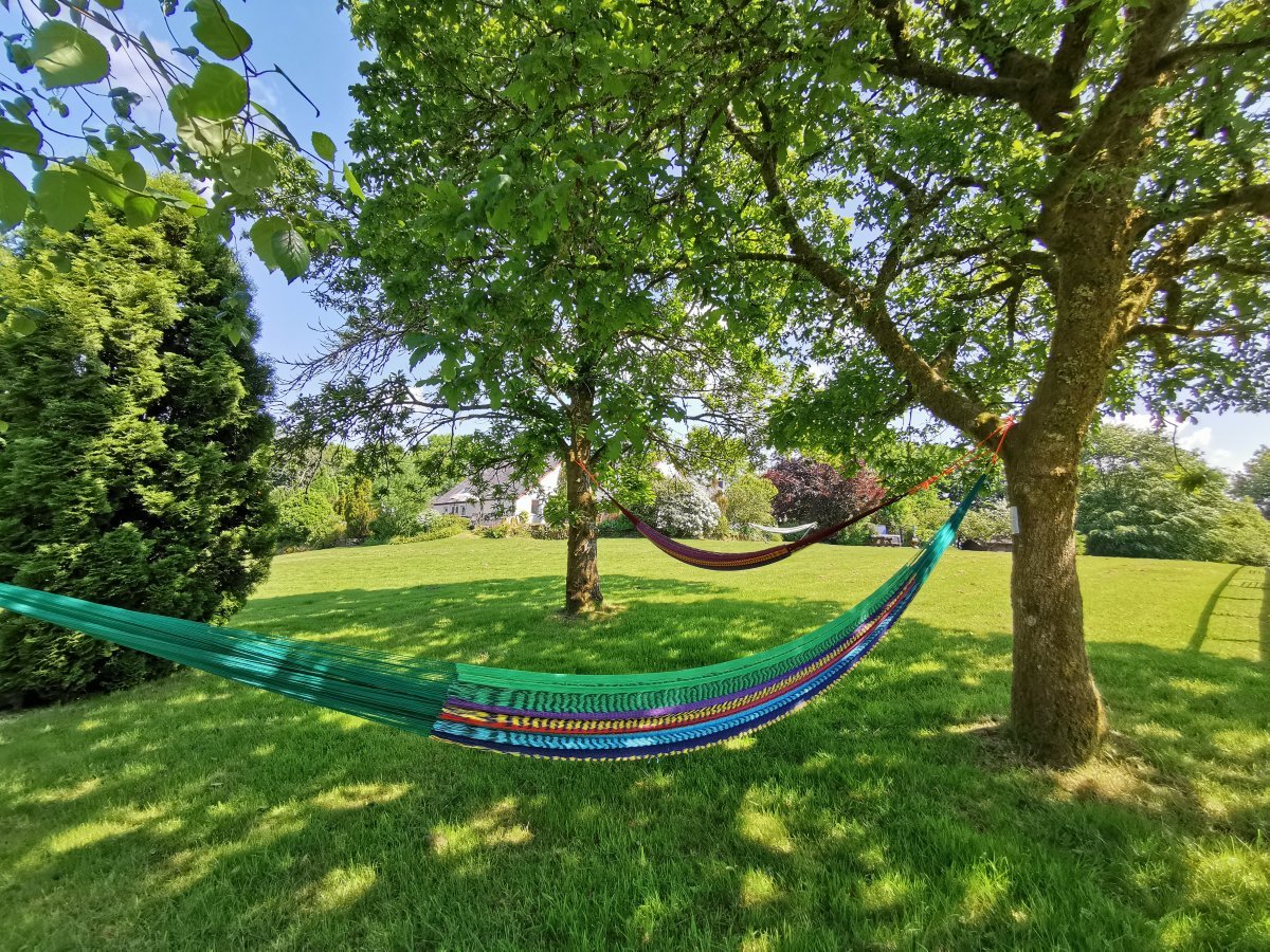 Cotton hammocks from the The Mexican Hammock Company next to the Alpacas.