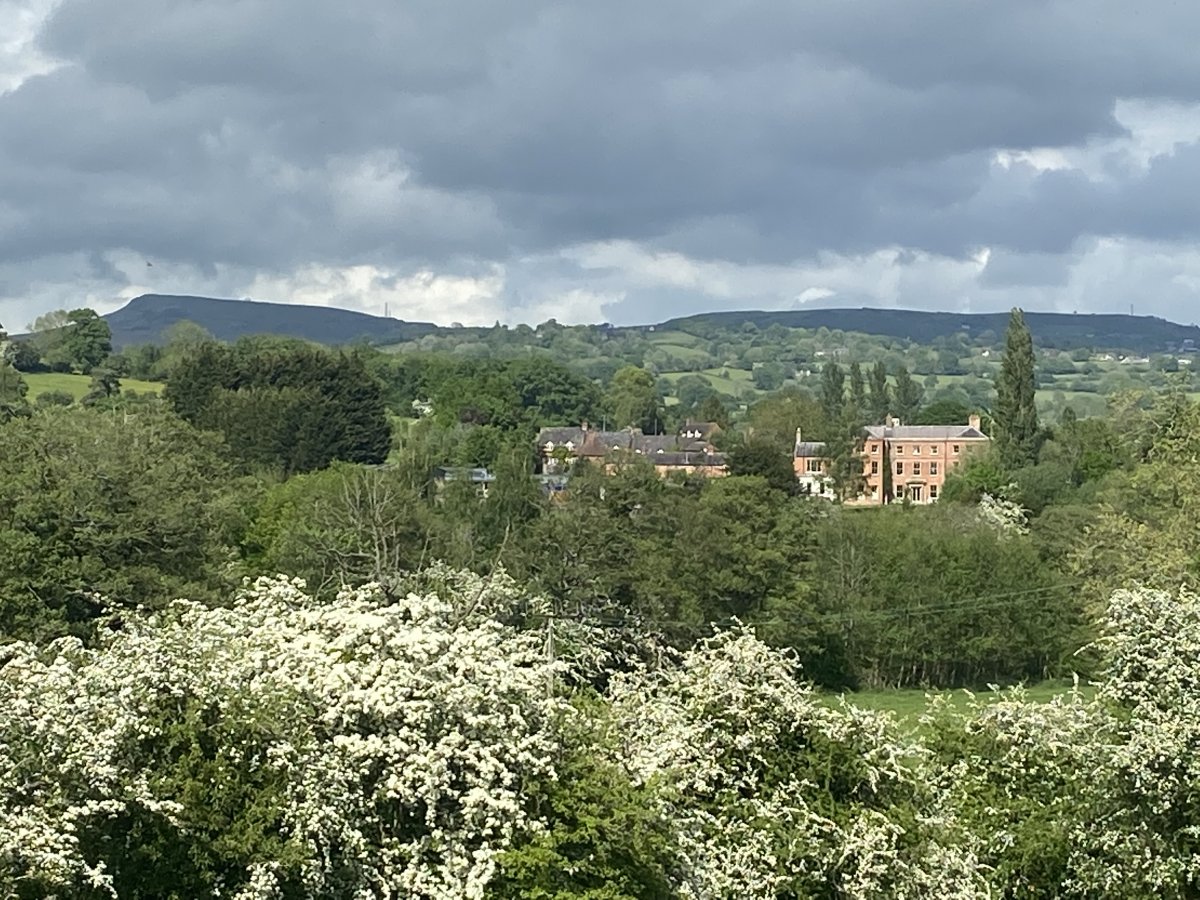 A view from the parkland