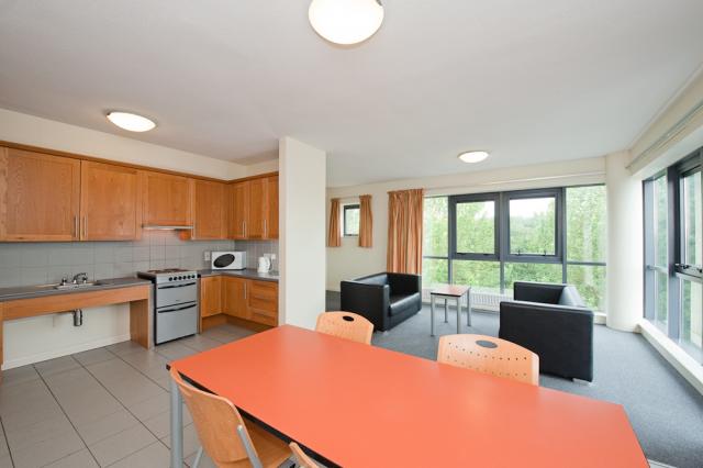 Shared Kitchen Area