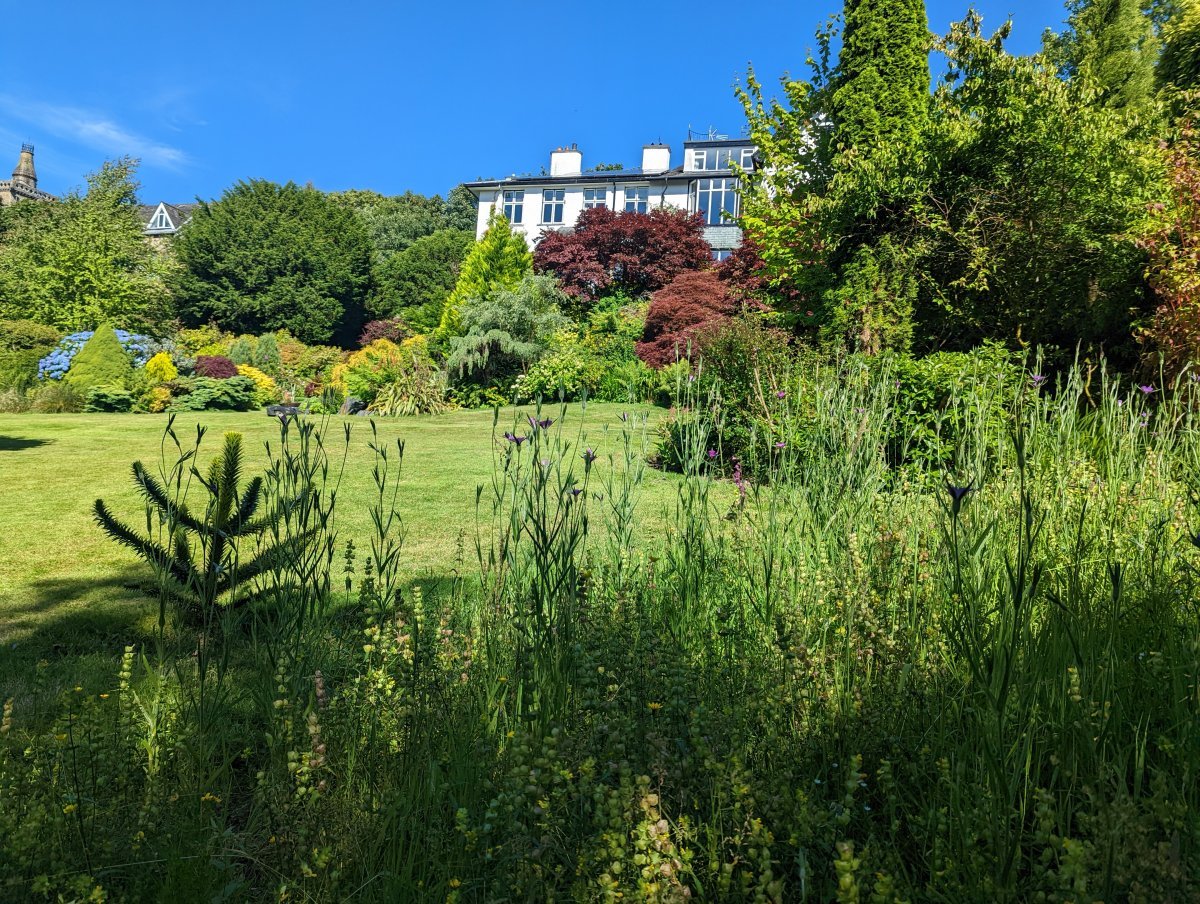 View from the swings