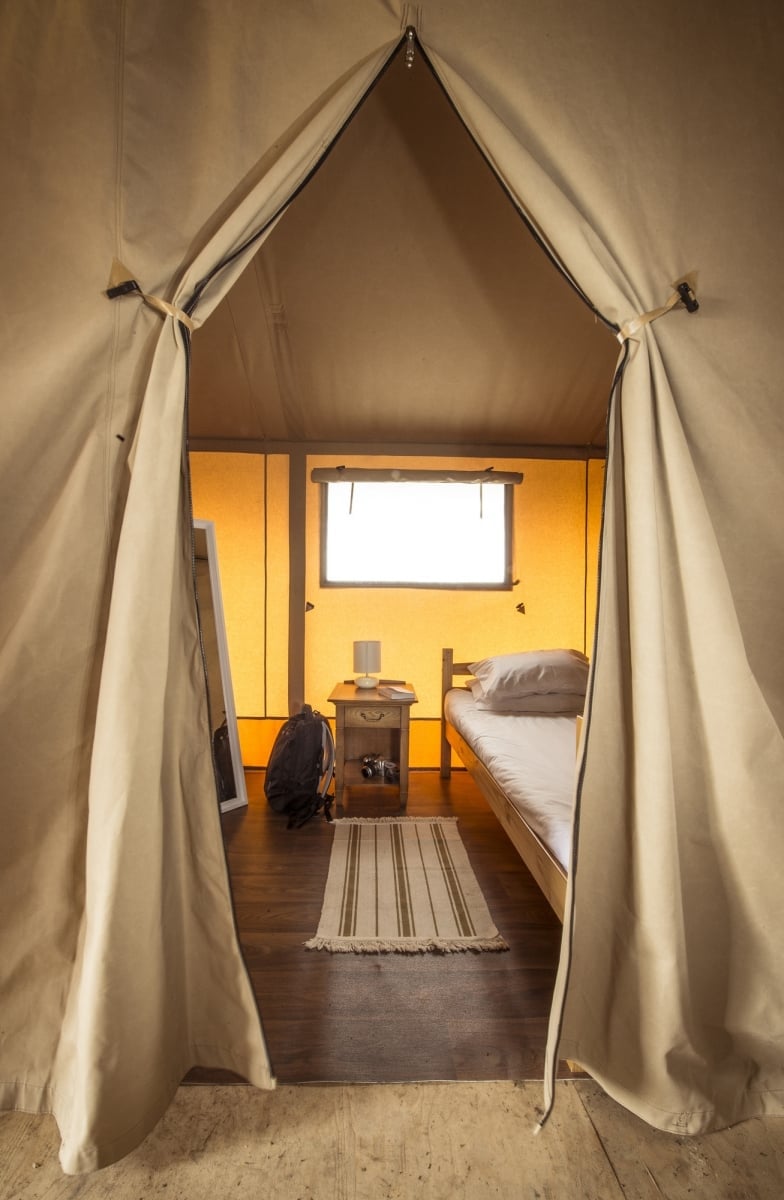 Large activity centre near York Yorkshire