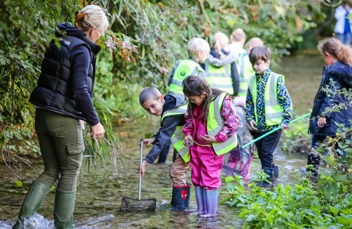 Pond Dipping