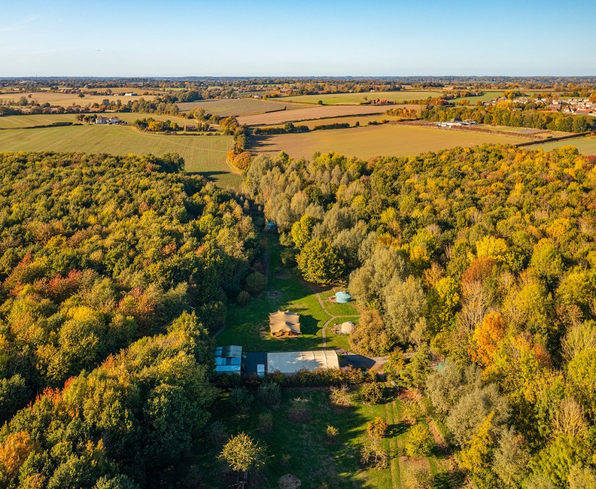 Teybrook Orchard surrounded by woodland