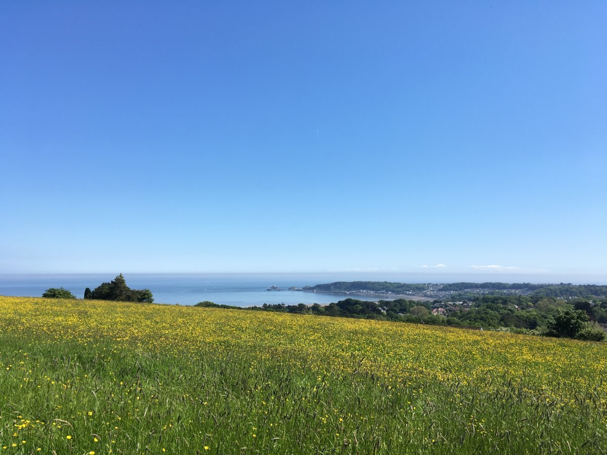 We have the best views in the Swansea Bay area!