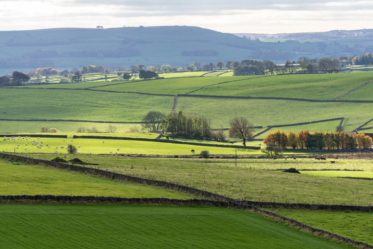 Fantastic views from the cottages