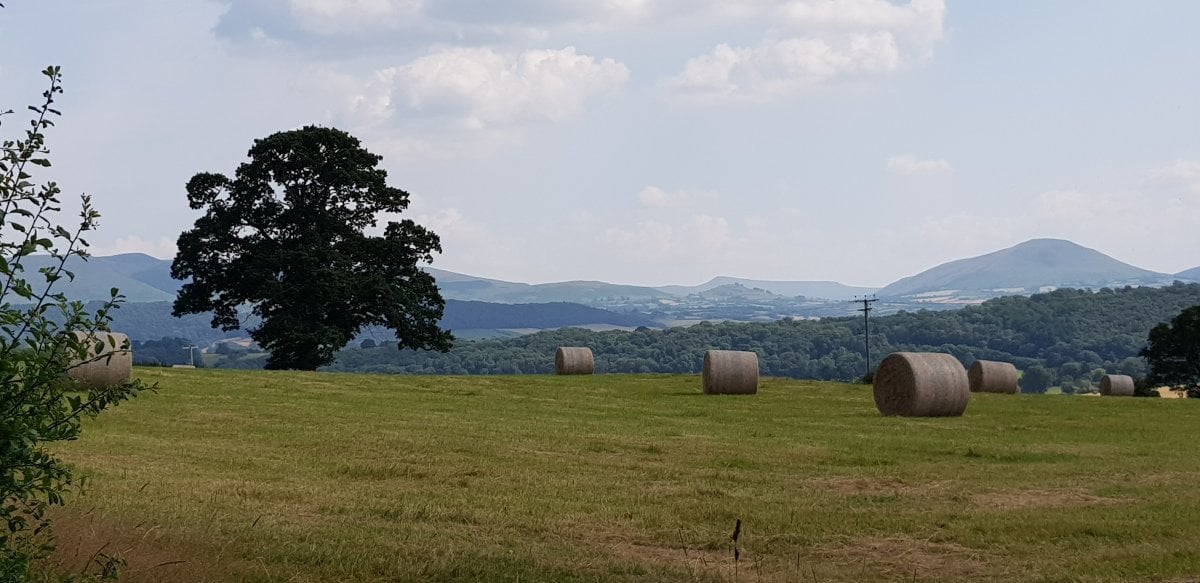 View from property - Boughrood Field Centre