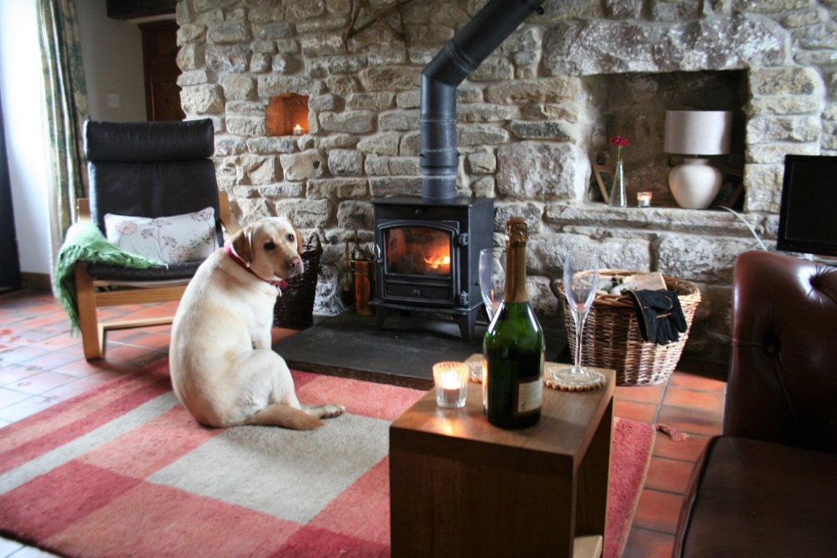 Shippon, living room with Bonnie dog