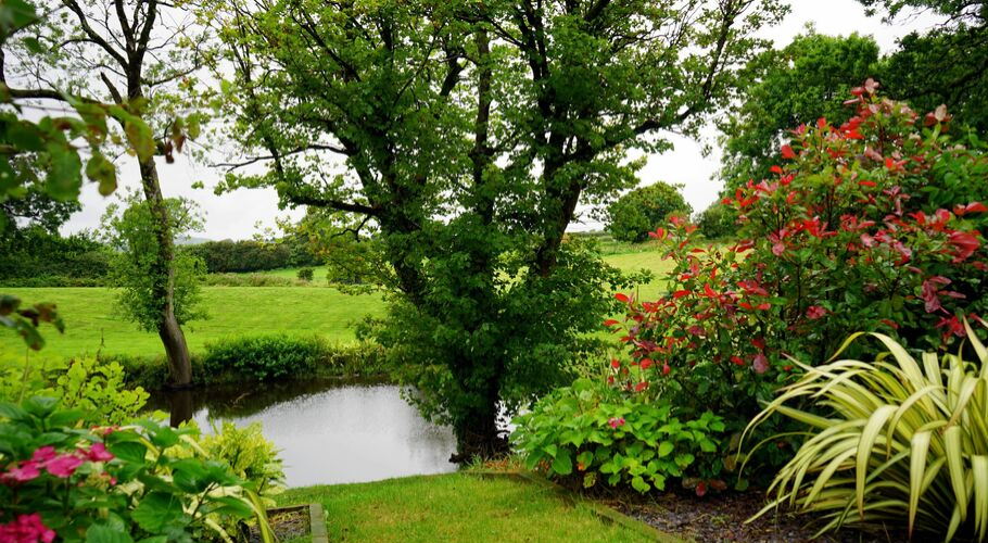 Picture of a green garden