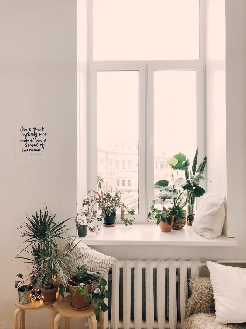 Windowsill covered with plant pots