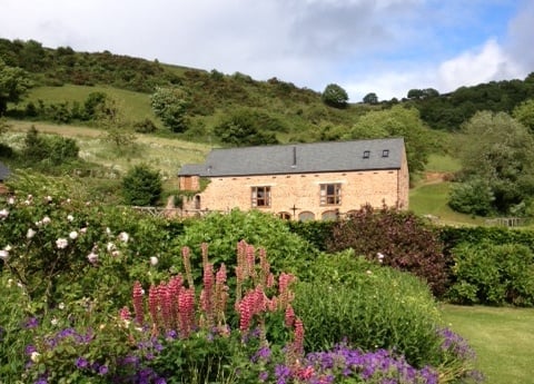 Granary borders in flower